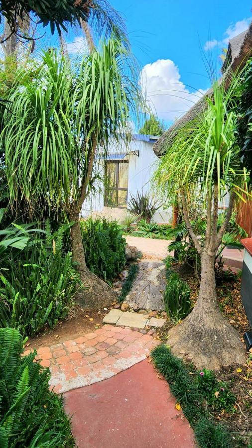 Lavender Villa No Loadshedding Kempton Park Luaran gambar